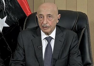 رئيس مجلس النواب الليبي، عقيلة صالح